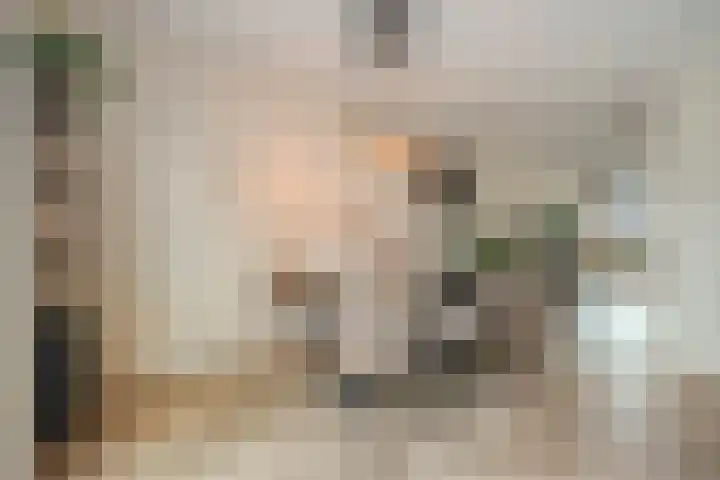 Mittendorffwerf 71 Dedemsvaart thumbnail 13