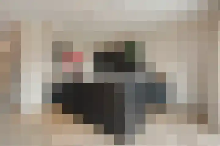Mittendorffwerf 71 Dedemsvaart thumbnail 14