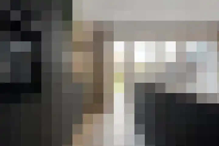 Mittendorffwerf 71 Dedemsvaart thumbnail 16
