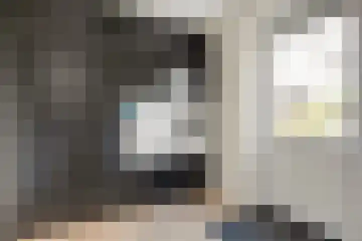 Mittendorffwerf 71 Dedemsvaart thumbnail 19
