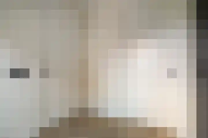 Mittendorffwerf 71 Dedemsvaart thumbnail 20