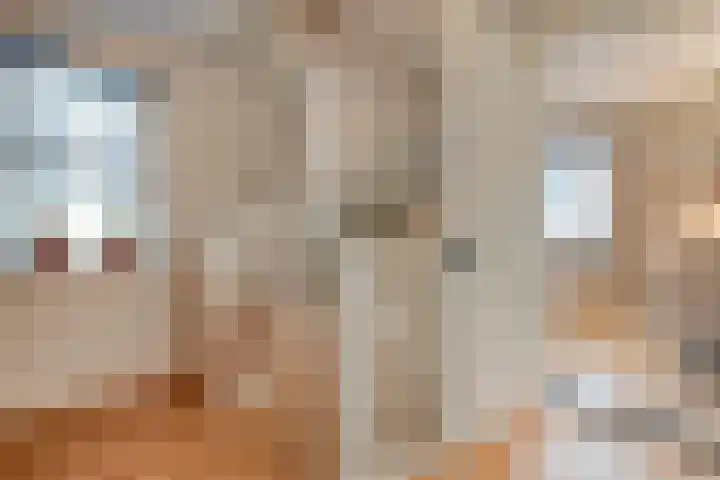 Mittendorffwerf 71 Dedemsvaart thumbnail 22