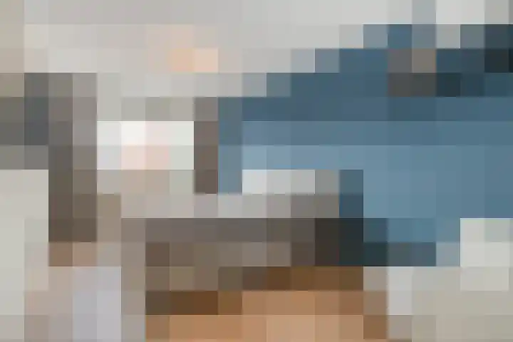 Mittendorffwerf 71 Dedemsvaart thumbnail 24