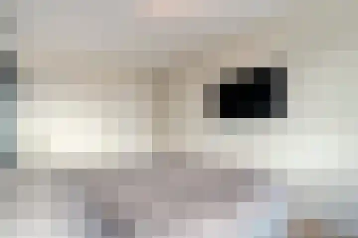 Mittendorffwerf 71 Dedemsvaart thumbnail 25