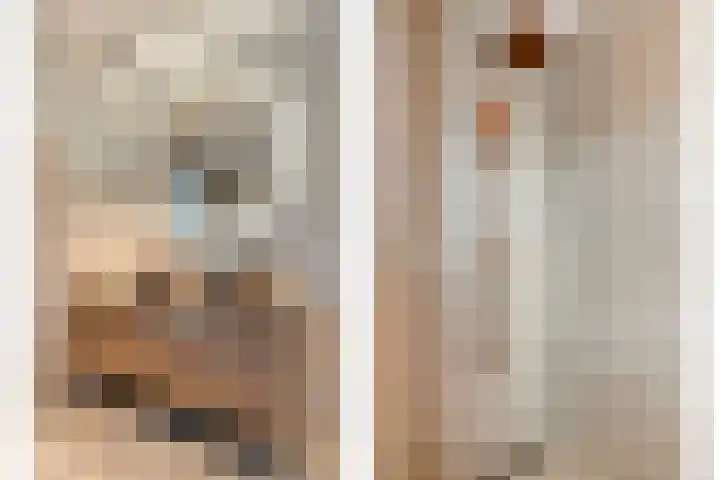 Mittendorffwerf 71 Dedemsvaart thumbnail 27