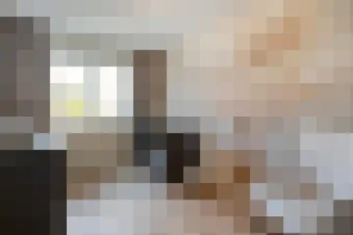 Mittendorffwerf 71 Dedemsvaart thumbnail 29
