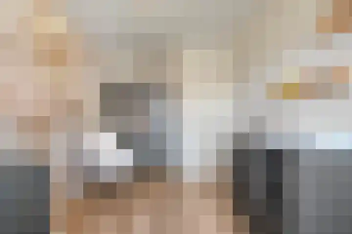 Mittendorffwerf 71 Dedemsvaart thumbnail 30
