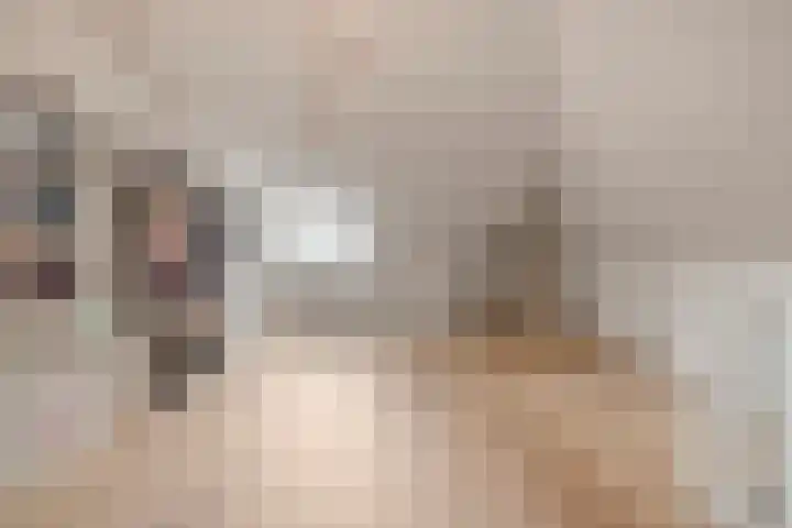 Mittendorffwerf 71 Dedemsvaart thumbnail 33