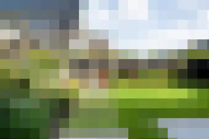 Mittendorffwerf 71 Dedemsvaart thumbnail 35