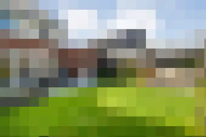 Mittendorffwerf 71 Dedemsvaart thumbnail 36