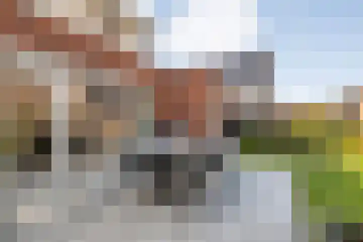 Mittendorffwerf 71 Dedemsvaart thumbnail 37