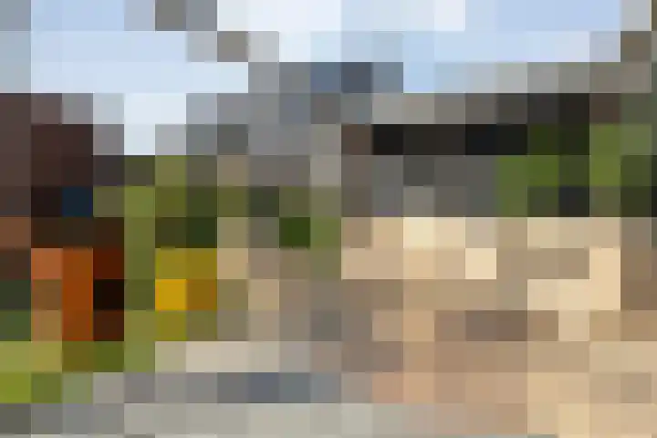 Mittendorffwerf 71 Dedemsvaart thumbnail 38