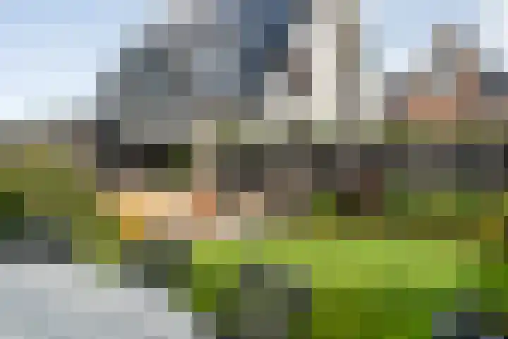 Mittendorffwerf 71 Dedemsvaart thumbnail 39