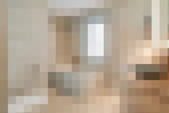 Mittendorffwerf 71 Dedemsvaart thumbnail 4