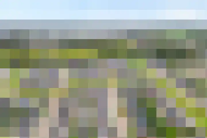 Mittendorffwerf 71 Dedemsvaart thumbnail 43