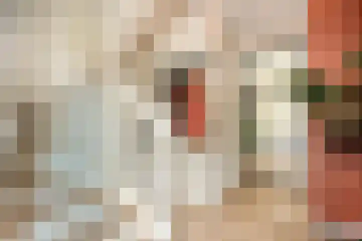 Mittendorffwerf 71 Dedemsvaart thumbnail 6