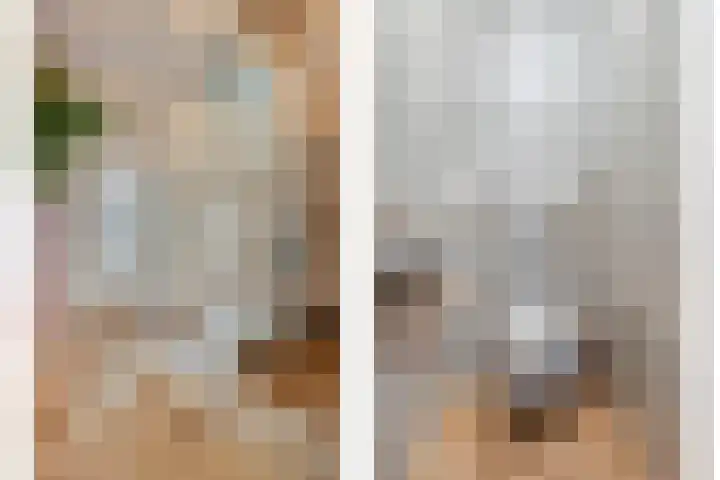 Mittendorffwerf 71 Dedemsvaart thumbnail 7