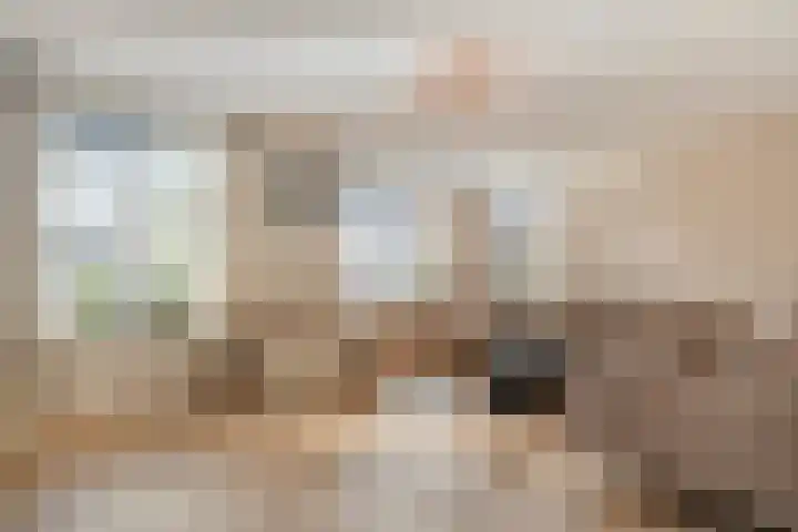 Mittendorffwerf 71 Dedemsvaart thumbnail 8