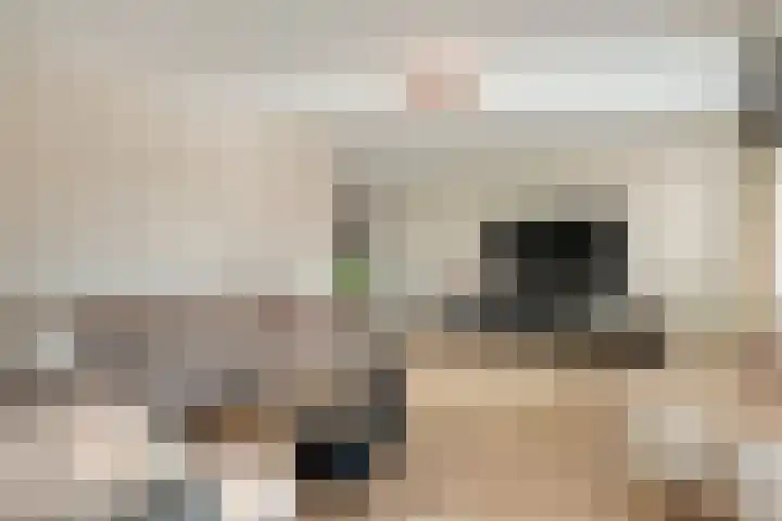 Mittendorffwerf 71 Dedemsvaart thumbnail 9