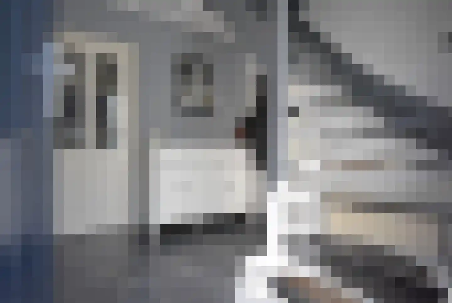 Moark 10 Feanwâlden thumbnail 15