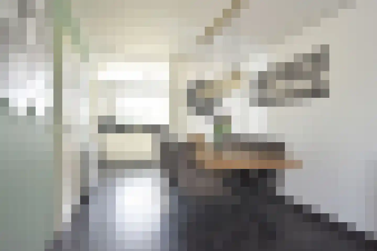 Moark 10 Feanwâlden thumbnail 25