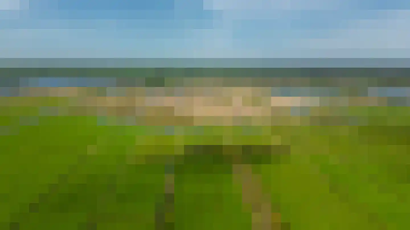 Moark 10 Feanwâlden foto 3