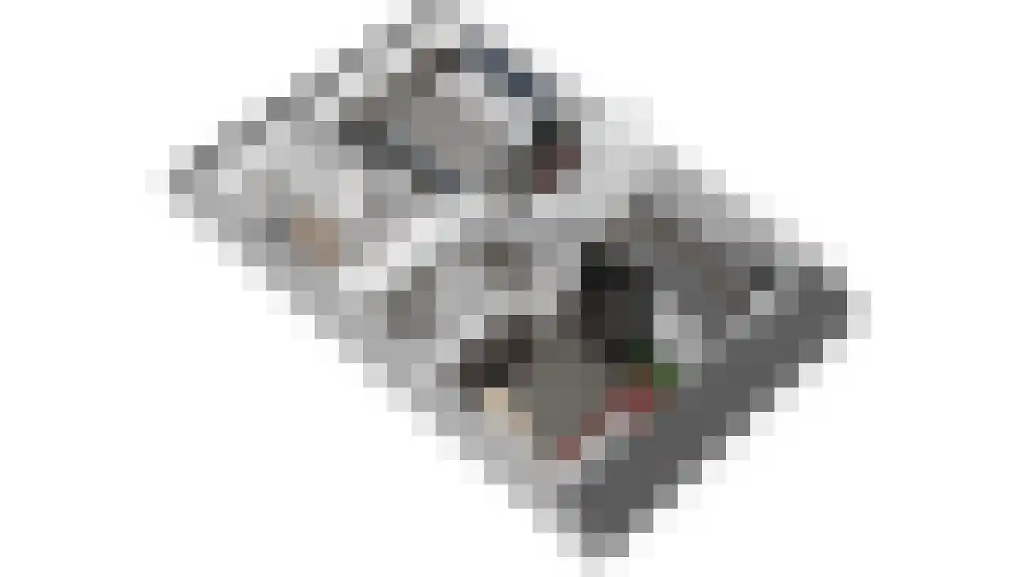 Moark 10 Feanwâlden thumbnail 30