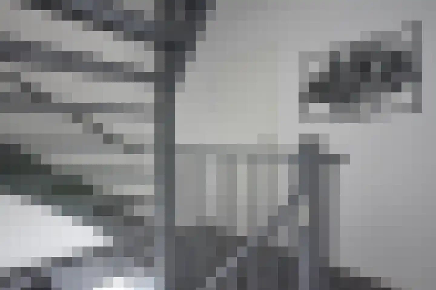 Moark 10 Feanwâlden thumbnail 32