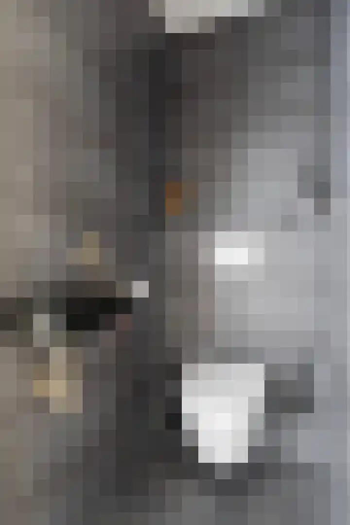 Moark 29 Feanwâlden thumbnail 11