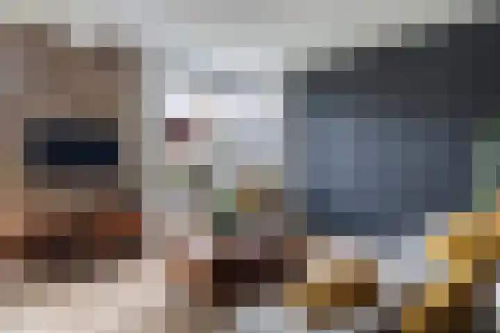 Moark 29 Feanwâlden thumbnail 13