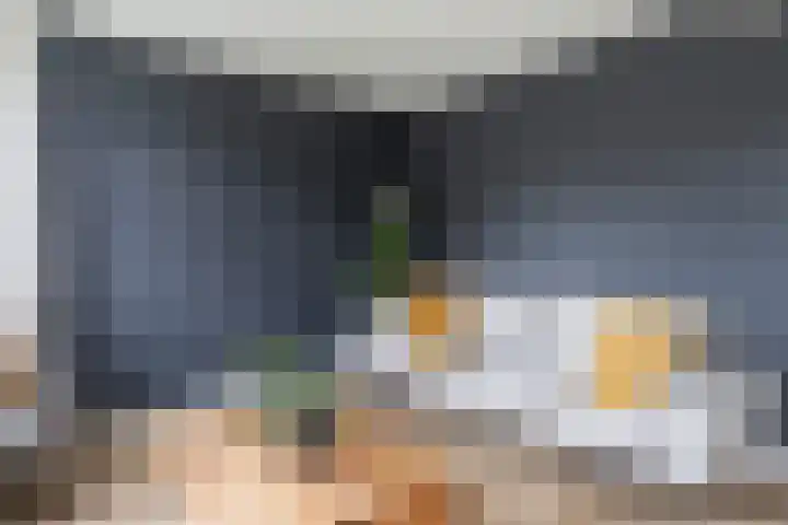 Moark 29 Feanwâlden thumbnail 15