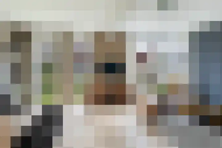 Moark 29 Feanwâlden thumbnail 16