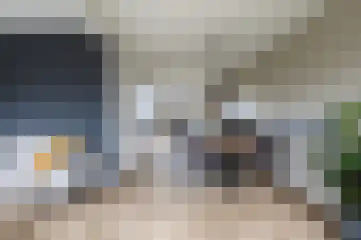 Moark 29 Feanwâlden thumbnail 17