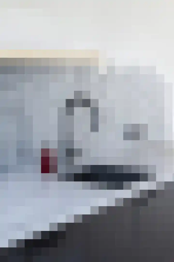 Moark 29 Feanwâlden thumbnail 21
