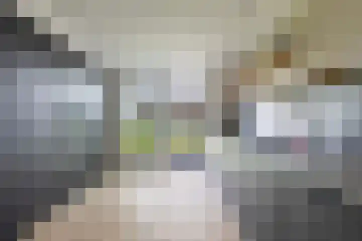 Moark 29 Feanwâlden thumbnail 23