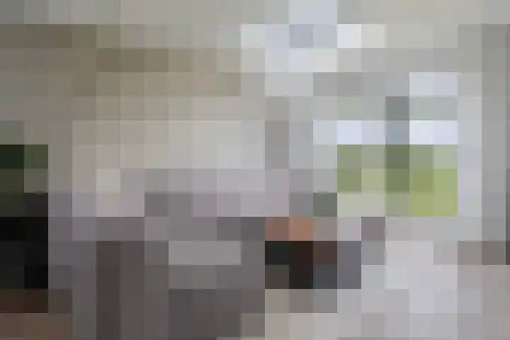Moark 29 Feanwâlden thumbnail 30