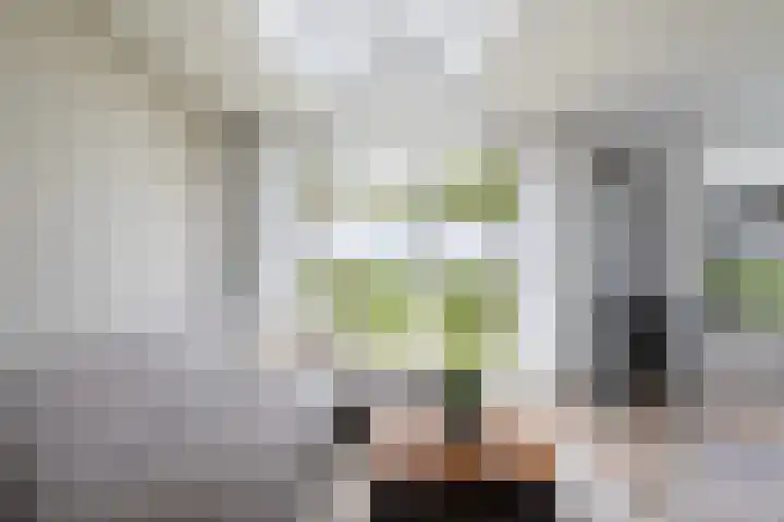 Moark 29 Feanwâlden thumbnail 31