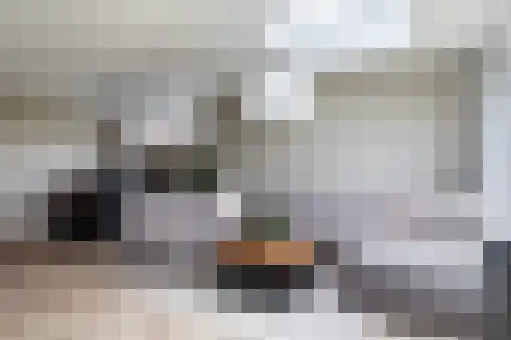 Moark 29 Feanwâlden thumbnail 33