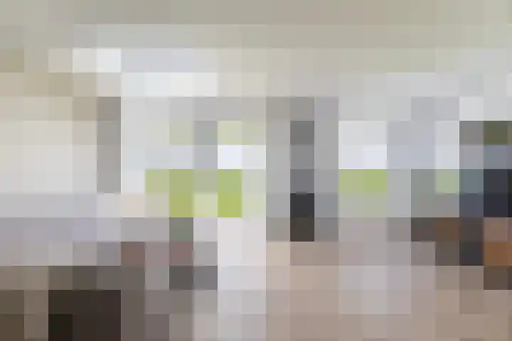Moark 29 Feanwâlden thumbnail 35