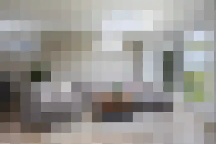 Moark 29 Feanwâlden thumbnail 36