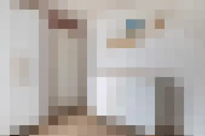 Moark 29 Feanwâlden thumbnail 48