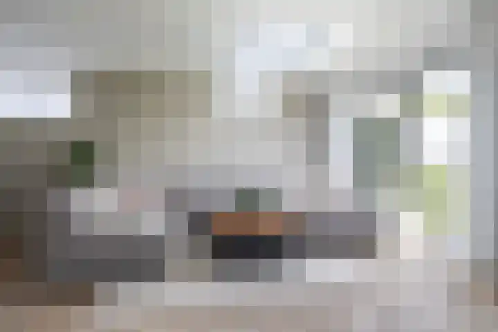 Moark 29 Feanwâlden thumbnail 5