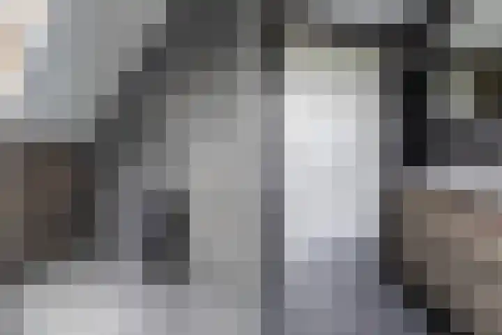 Moark 29 Feanwâlden thumbnail 61