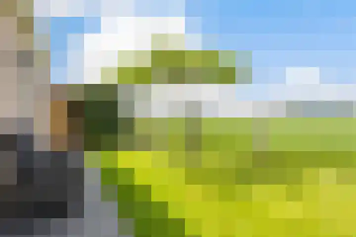 Moark 29 Feanwâlden thumbnail 73