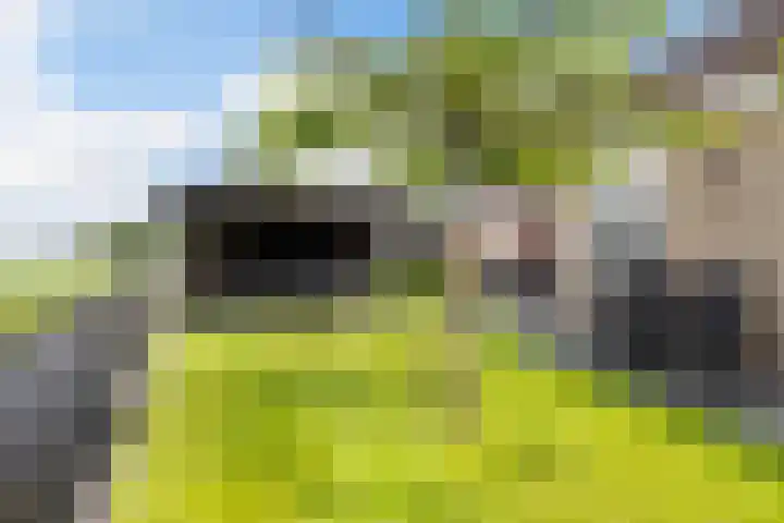 Moark 29 Feanwâlden thumbnail 74