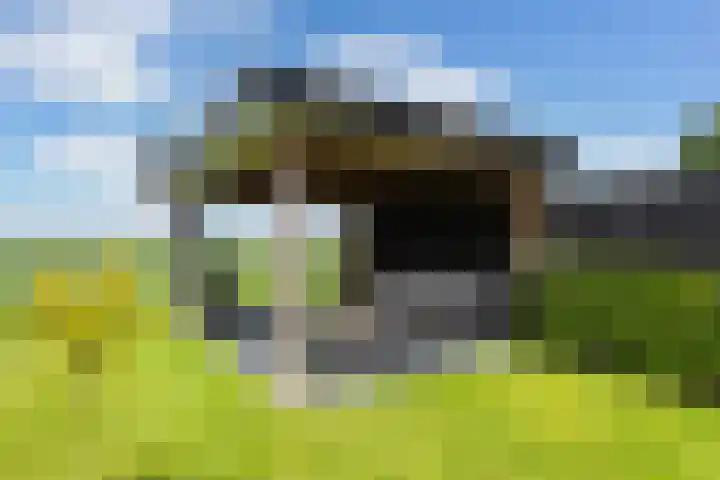 Moark 29 Feanwâlden thumbnail 75