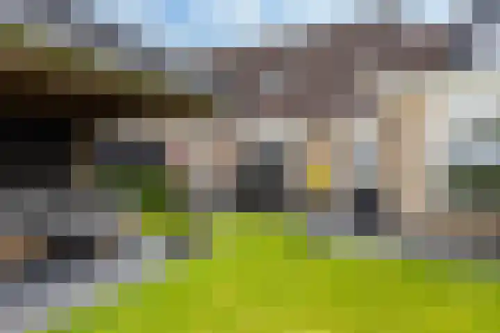 Moark 29 Feanwâlden thumbnail 76