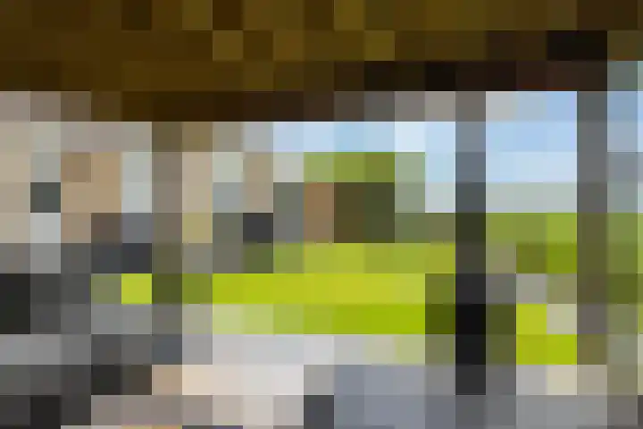 Moark 29 Feanwâlden thumbnail 77
