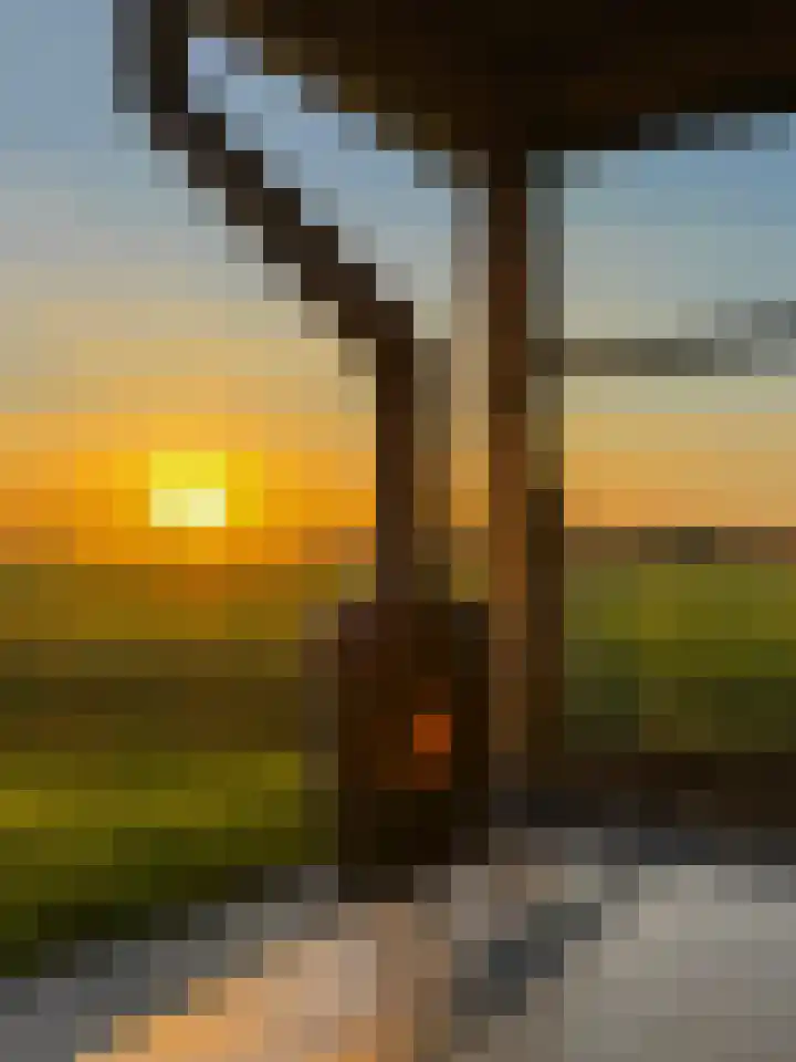 Moark 29 Feanwâlden thumbnail 78