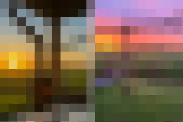 Moark 29 Feanwâlden thumbnail 79